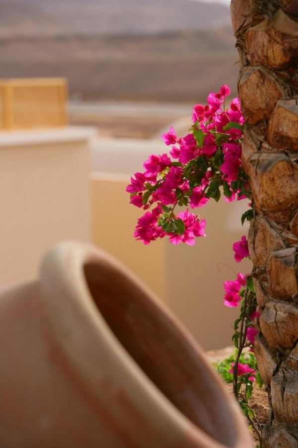 Hotel Tui Magic Life Kalawy Hurghada Esterno foto