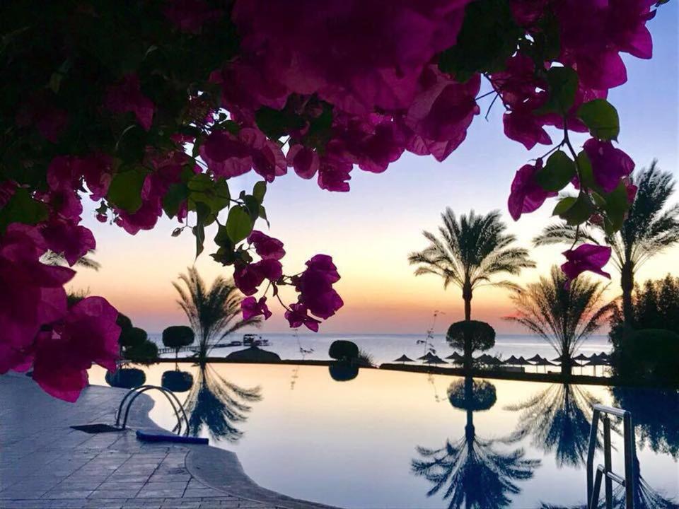 Hotel Tui Magic Life Kalawy Hurghada Esterno foto