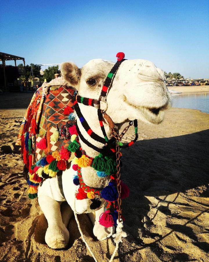 Hotel Tui Magic Life Kalawy Hurghada Esterno foto