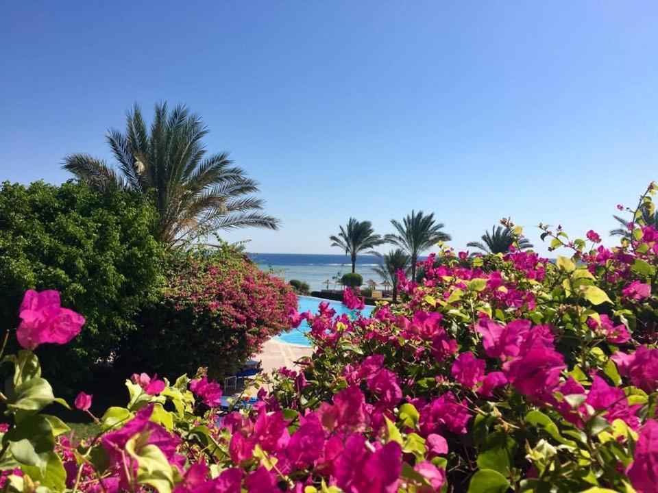 Hotel Tui Magic Life Kalawy Hurghada Esterno foto